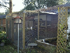 aviary3.gif (37996 bytes)