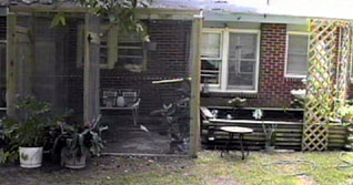 back.jpg (45149 bytes)