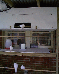 closebox.gif (35476 bytes)