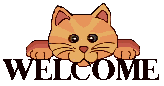 cat welcome