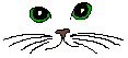 cat face