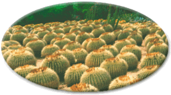 Vstupte - Go My HomePage!!