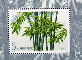 topical- bamboo