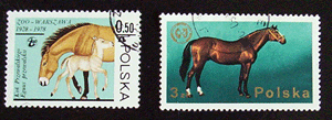 topical stamp- horse 