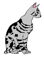 14brooke.gif (1997 bytes)