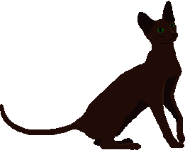 4sierra.gif (2618 bytes)