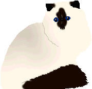 6tackle.gif (4242 bytes)