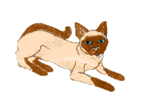 agentscully.gif (3172 bytes)