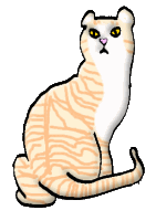 short-pet-creammackereltabbyandwhite.gif (8389 bytes)