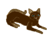 tribute.gif (3680 bytes)