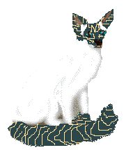 xenophobia.gif (3647 bytes)