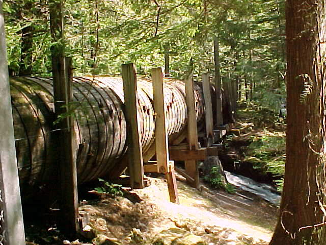 100yop.jpg (74338 bytes)