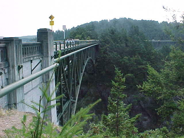 desppas1.jpg (45202 bytes)