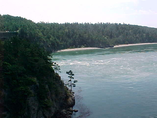 desppas2.jpg (30880 bytes)