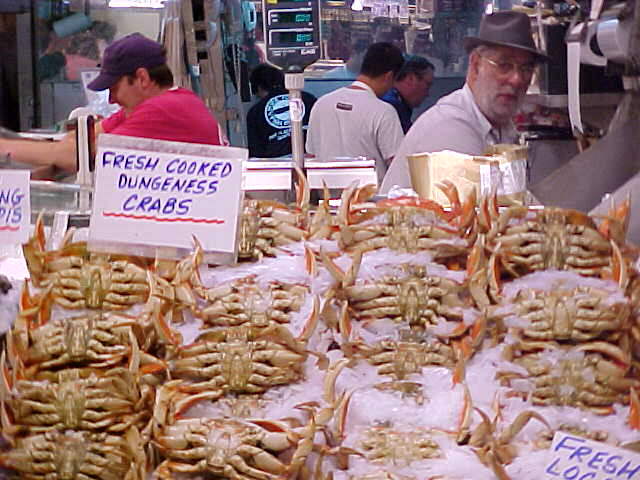 market3.jpg (59261 bytes)