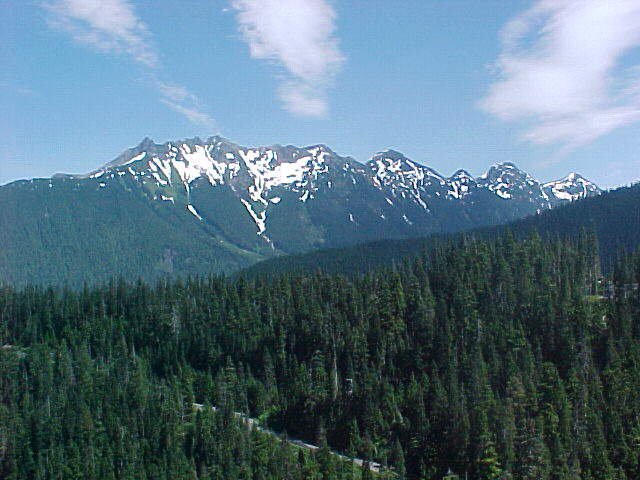 mntshuk.jpg (53495 bytes)