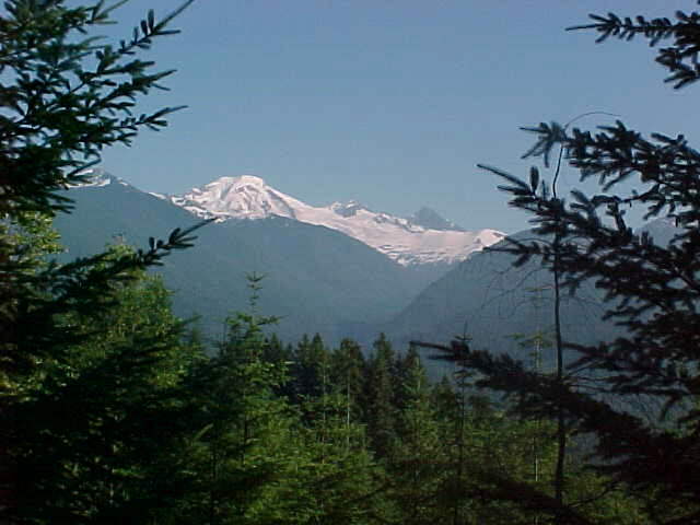 mount3.jpg (37346 bytes)