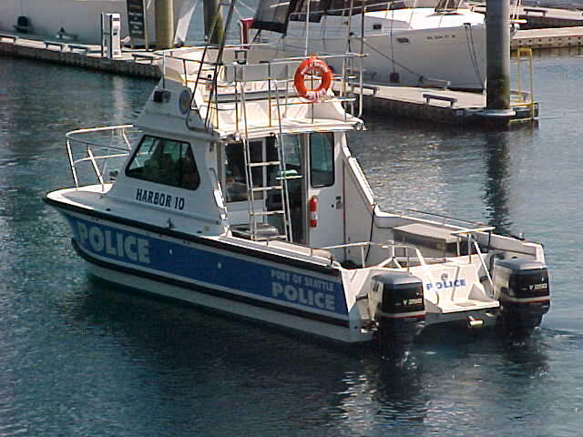 pspd.jpg (53354 bytes)