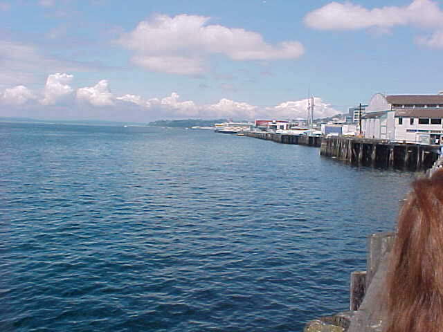 pugsnd.jpg (40624 bytes)