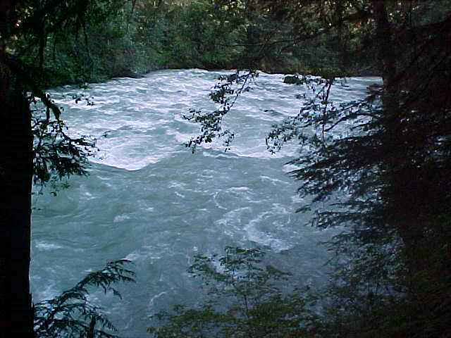 river1.jpg (50281 bytes)