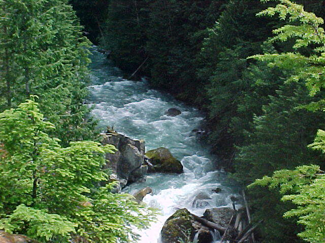 river10.jpg (79851 bytes)