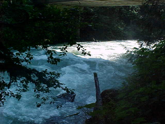river2.jpg (41635 bytes)