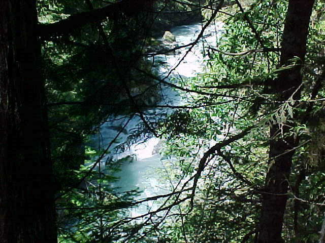 river3.jpg (71315 bytes)