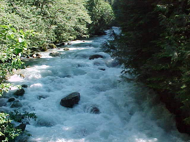 river4.jpg (53472 bytes)