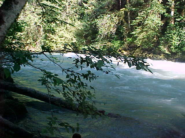 river5.jpg (66391 bytes)