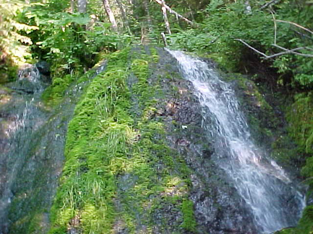 snowme2.jpg (64224 bytes)