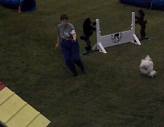 agility