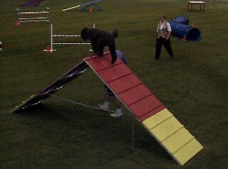Agility