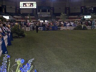 Q in the Parade of Champions