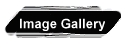 Image Gallery