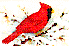 Adobe PhotoDeluxe Business Edition Image