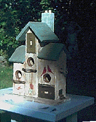 Adobe PhotoDeluxe Home Edition Image