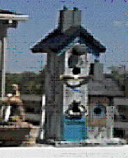 Adobe PhotoDeluxe Home Edition Image
