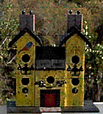Adobe PhotoDeluxe Home Edition Image
