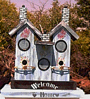 Adobe PhotoDeluxe Home Edition Image