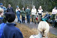 Oppstilling i skogen