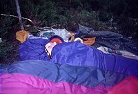 Tr�tt tryne i soveposen