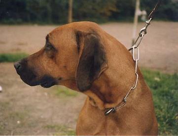 Murphy