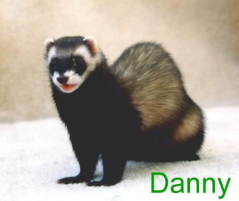 Grrr..I'm a tough guy