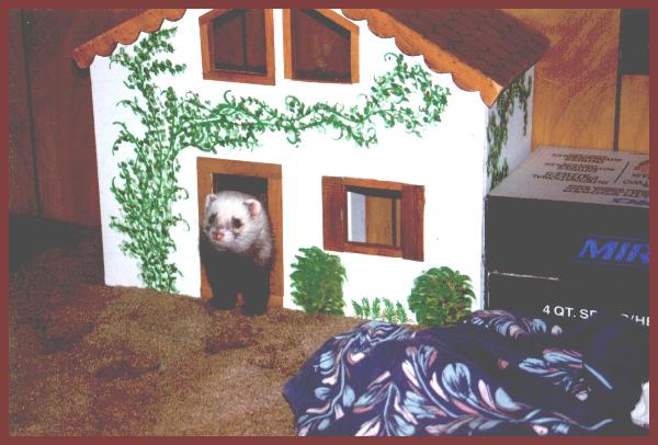 Finnigan in the 'doll' house