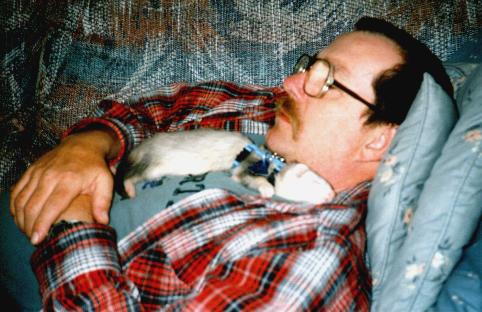 Larry and Yukon napping