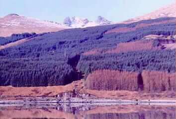 SELECT FOR A LARGER IMAGE