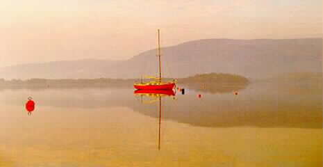 SELECT FOR A LARGER IMAGE