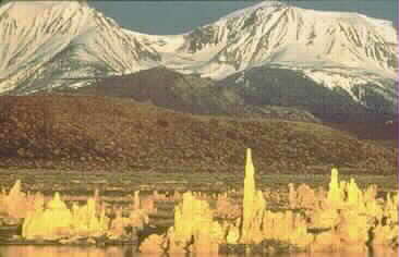 SELECT FOR A LARGER IMAGE