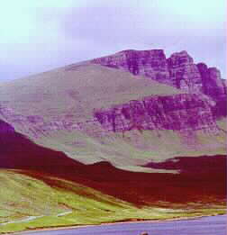 SELECT FOR A LARGER IMAGE