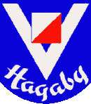 alternate text for this image